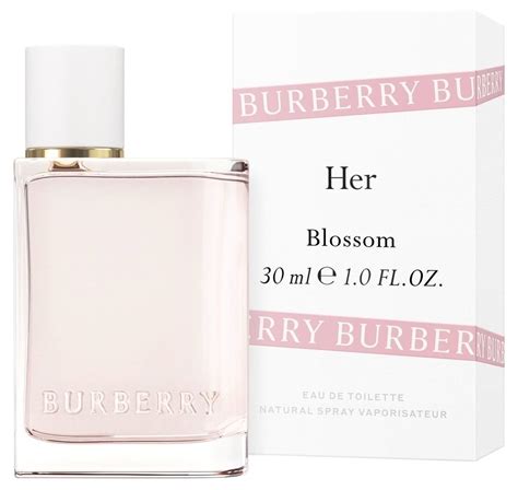 her burberry perfume dupe|burberry her blossom dupe.